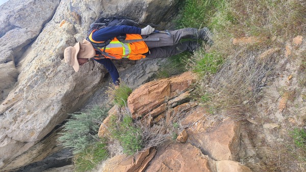 RW Trend - Looking ESE - closeup outcrop